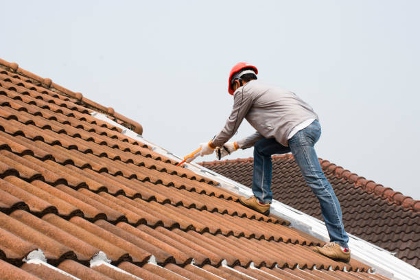 Professional  Roofing repair and installation in Walnut Park, CA